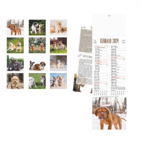 Cani Gatti immagini calendario veterinario 2024 economico stampa logo